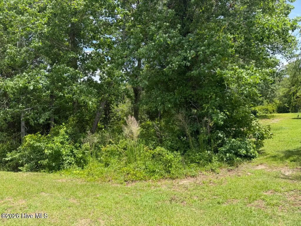 Photo of 3997 Bay Colony Road NE, Leland, NC 28451 (MLS # 100389771)