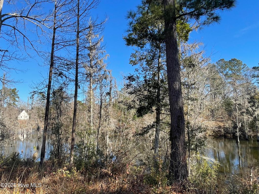 Photo of 3997 Bay Colony Road NE, Leland, NC 28451 (MLS # 100389771)