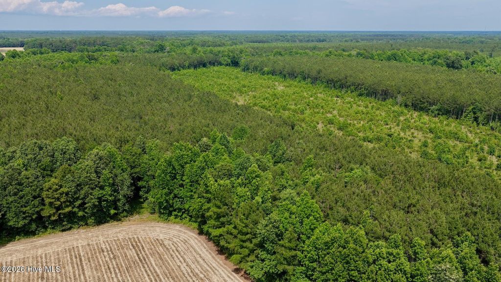 Photo of 0 Off 1040d Republican Road, Windsor, NC 27983 (MLS # 100578577)