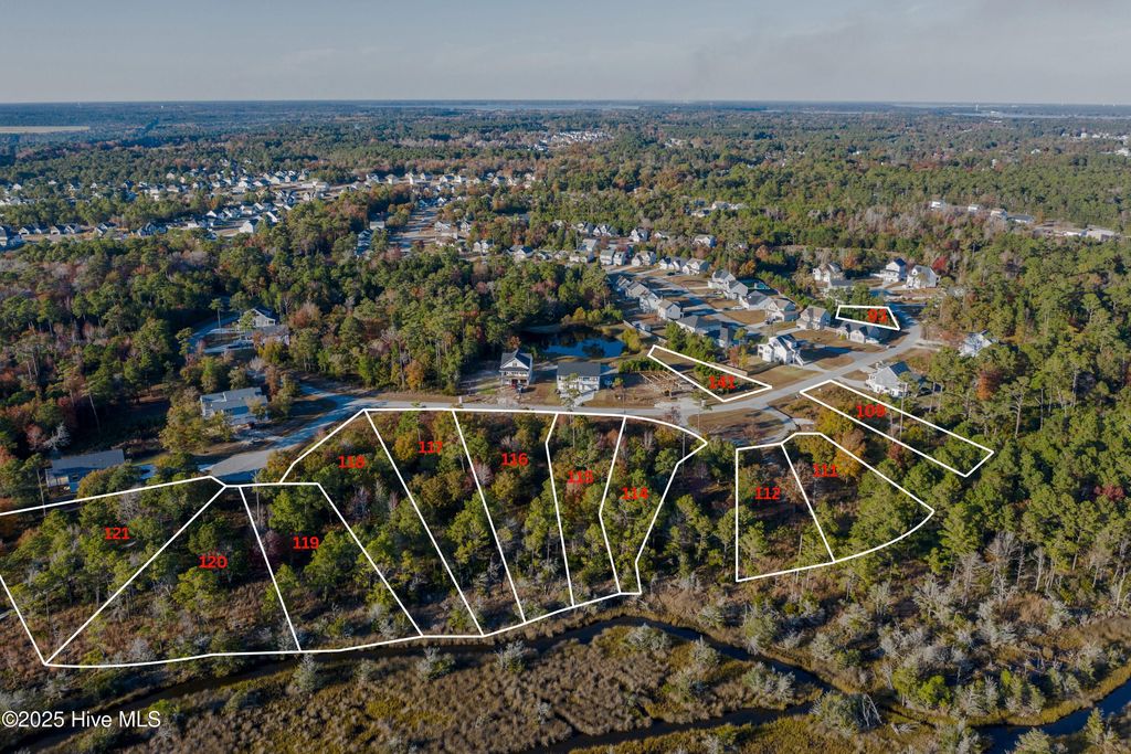 Photo of 314 Landon Lane, Sneads Ferry, NC 28460 (MLS # 100523723)