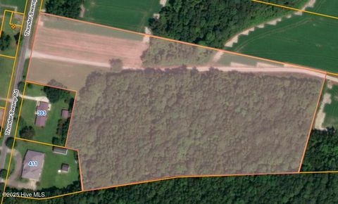 Vacant Land For Sale - PARCEL 3 Thunder Swamp Road<br/> Mount Olive, NC 28365