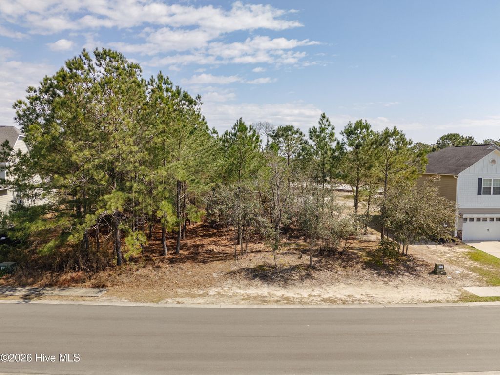 Photo of 3059 Boverie Street SW, Shallotte, NC 28470 (MLS # 100558394)