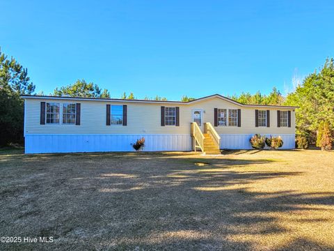 Homes For Sale - 97 Lacewell Street<br/> Bladen County, Riegelwood, NC 28456