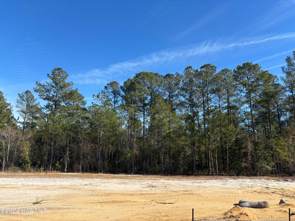 Photo of 2983 W Timber Crest Drive NE, Leland, NC 28451 (MLS # 100551372)