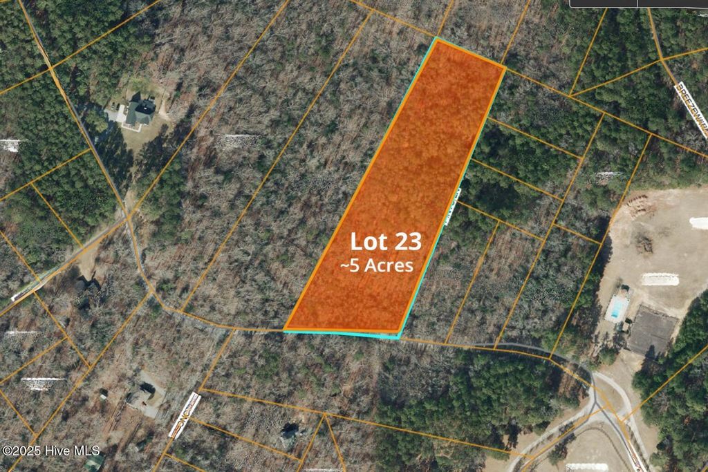 Photo of 23 Equestrian Lane, Carthage, NC 28327 (MLS # 100546275)