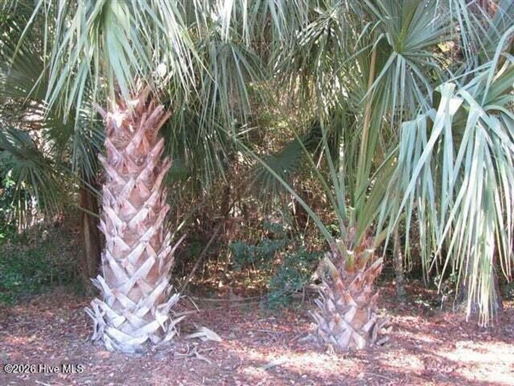 Photo of 222 N Bald Head, Bald Head Island, NC 28461 (MLS # 100568372)