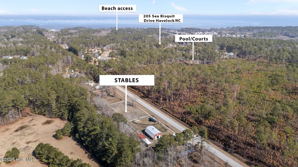 Photo of 205 Sea Bisquit Drive, Havelock, NC 28532 (MLS # 100555449)