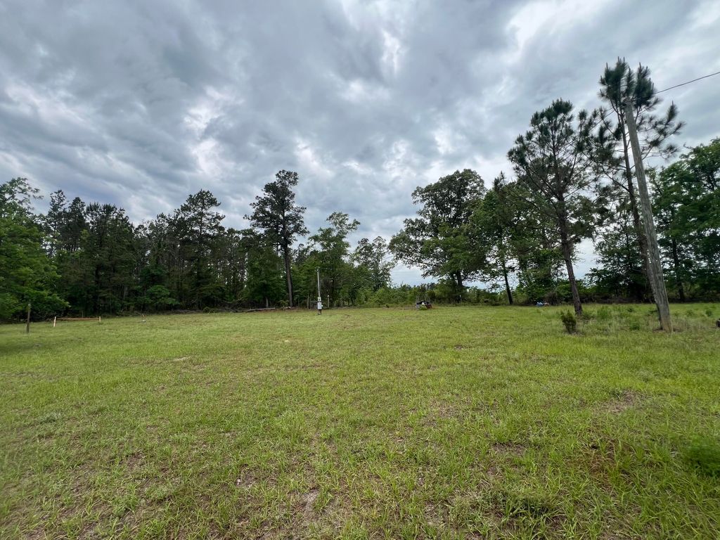 Photo of 1494 Hiltonia Road, Millen, GA 30442 (MLS # 98257309)
