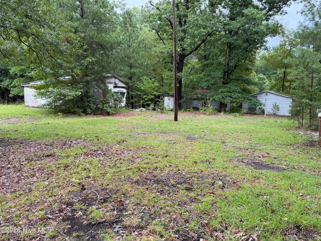 Photo of 235 Bryant Road, Carthage, NC 28327 (MLS # 100596875)