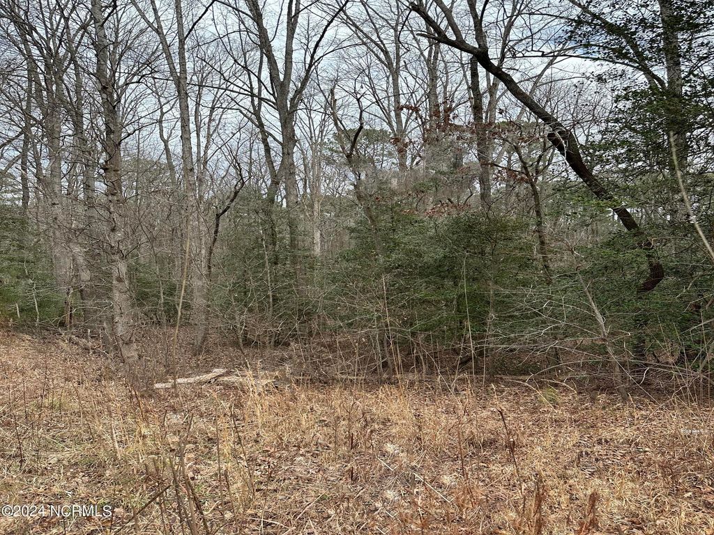 Photo of 2 Us Hwy 15-501, Carthage, NC 28327 (MLS # 100558106)