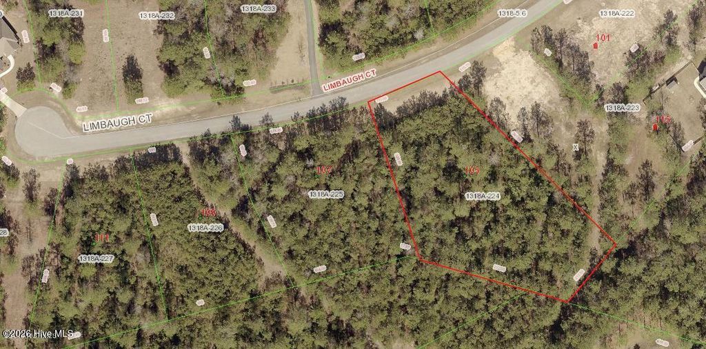 Photo of 105 Limbaugh Court, Swansboro, NC 28584 (MLS # 100553052)