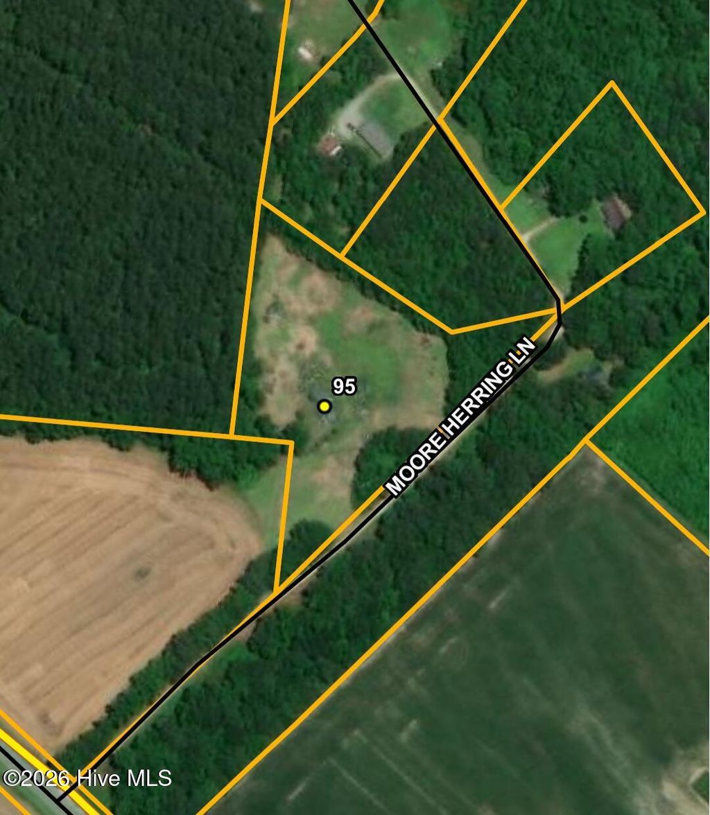 Photo of 95 Moore Herring Lane, Clinton, NC 28328 (MLS # 100551014)