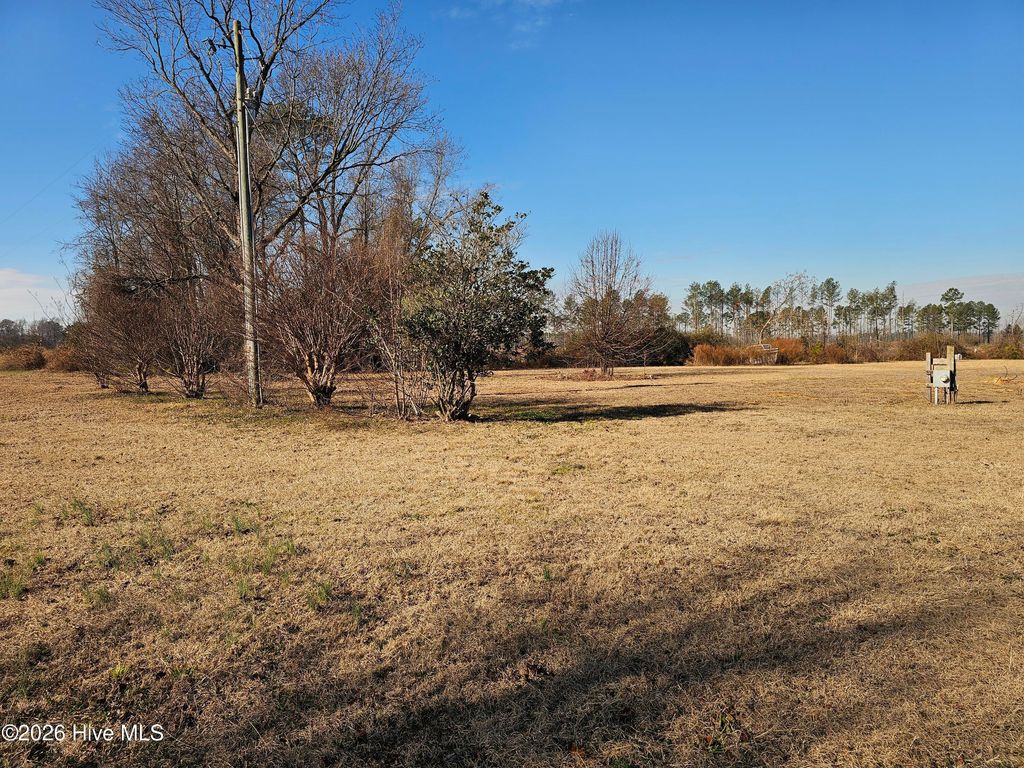 Photo of 95 Moore Herring Lane, Clinton, NC 28328 (MLS # 100551014)