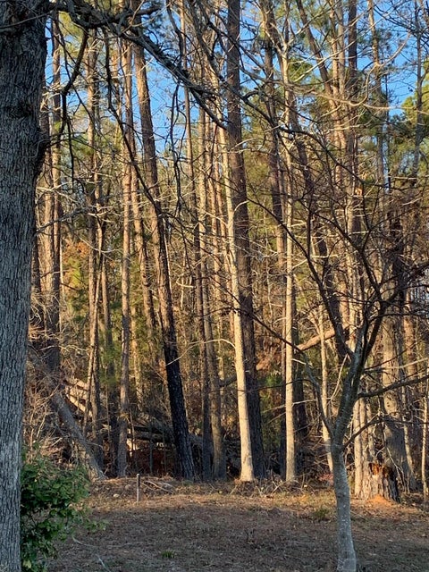 Vacant Land For Sale - TRACT F Martintown Road<br/> North Augusta, SC 29860