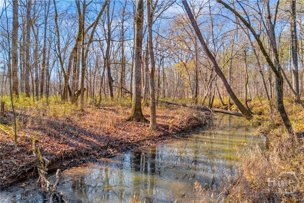 Photo of 0 Smith Road, Carlton, GA 30627 (MLS # CL345449)