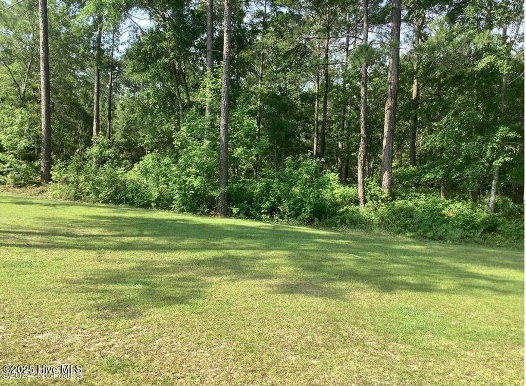 Photo of 811 Breezewood Drive SE, Bolivia, NC 28422 (MLS # 100521580)