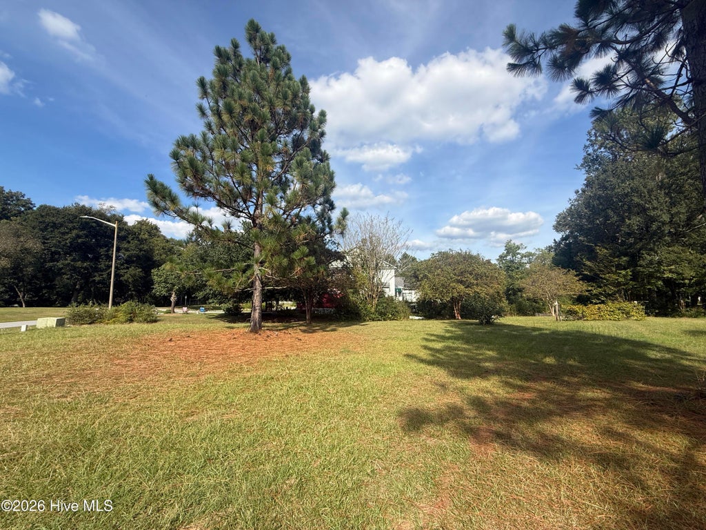 Photo of 2129 Briarwood Drive, Kinston, NC 28501 (MLS # 100608023)