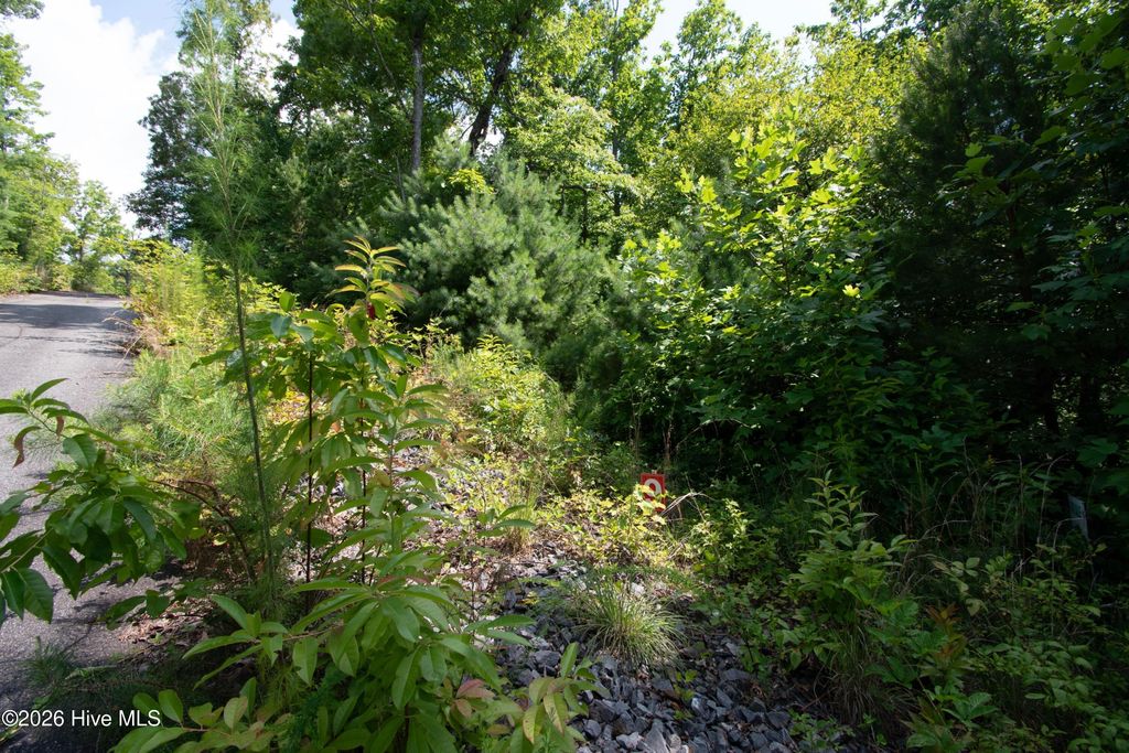 Photo of 165 Desoto Trail, Marble, NC 28905 (MLS # 100588182)