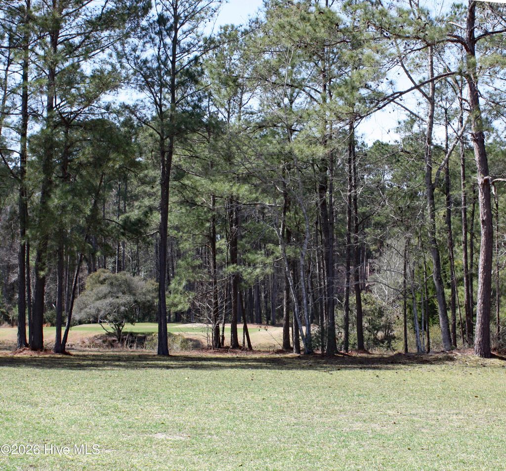Photo of 5861 Lancelot Notch, Ocean Isle Beach, NC 28469 (MLS # 100560332)