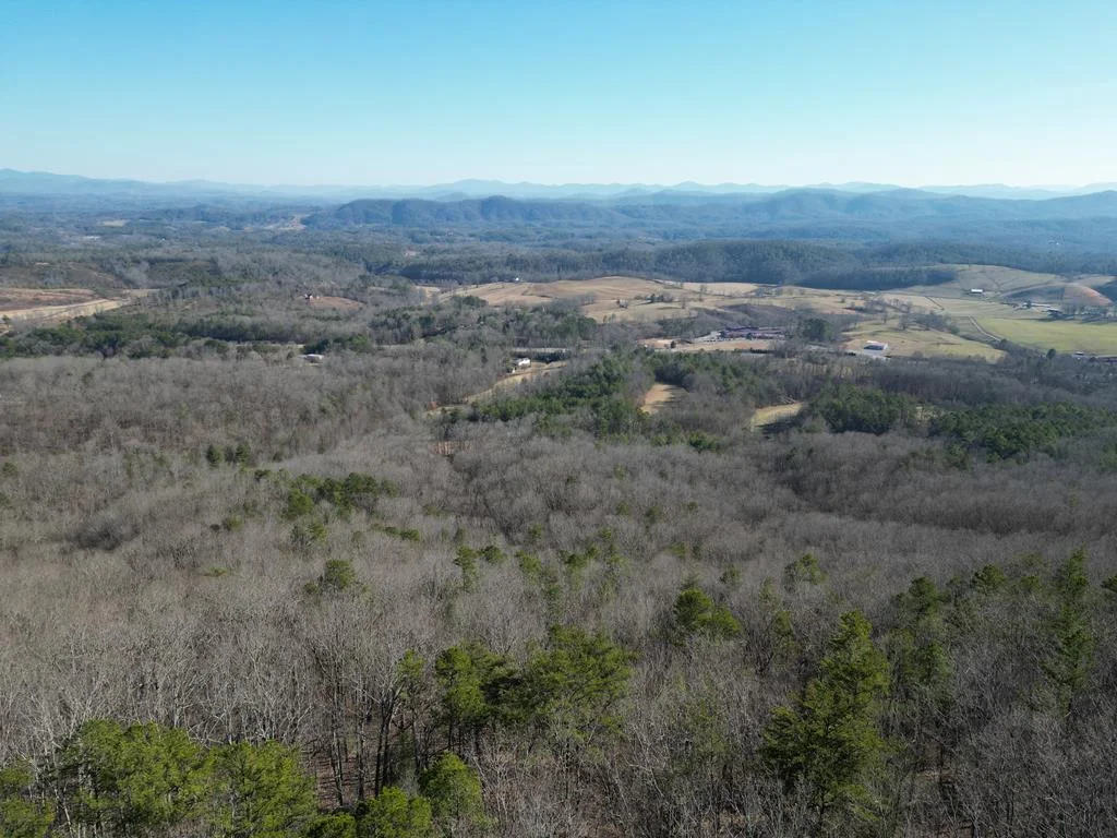 20.05 ac Treehouse Trail