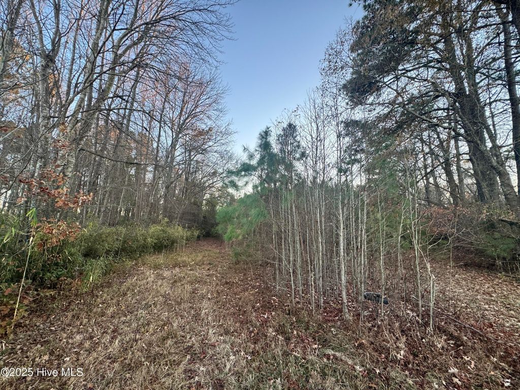 Photo of 00000 Okisko Road, Elizabeth City, NC 27909 (MLS # 100545358)