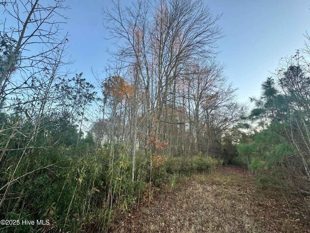 Photo of 00000 Okisko Road, Elizabeth City, NC 27909 (MLS # 100545358)