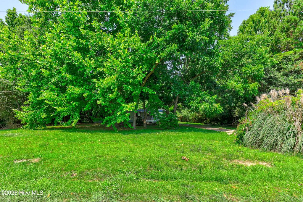 Photo of 315 Messer Loop Road, Burgaw, NC 28425 (MLS # 100580701)