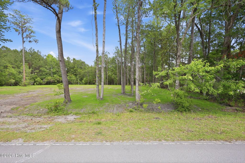 Photo of 161 Trent Shores Drive, New Bern, NC 28562 (MLS # 100575022)