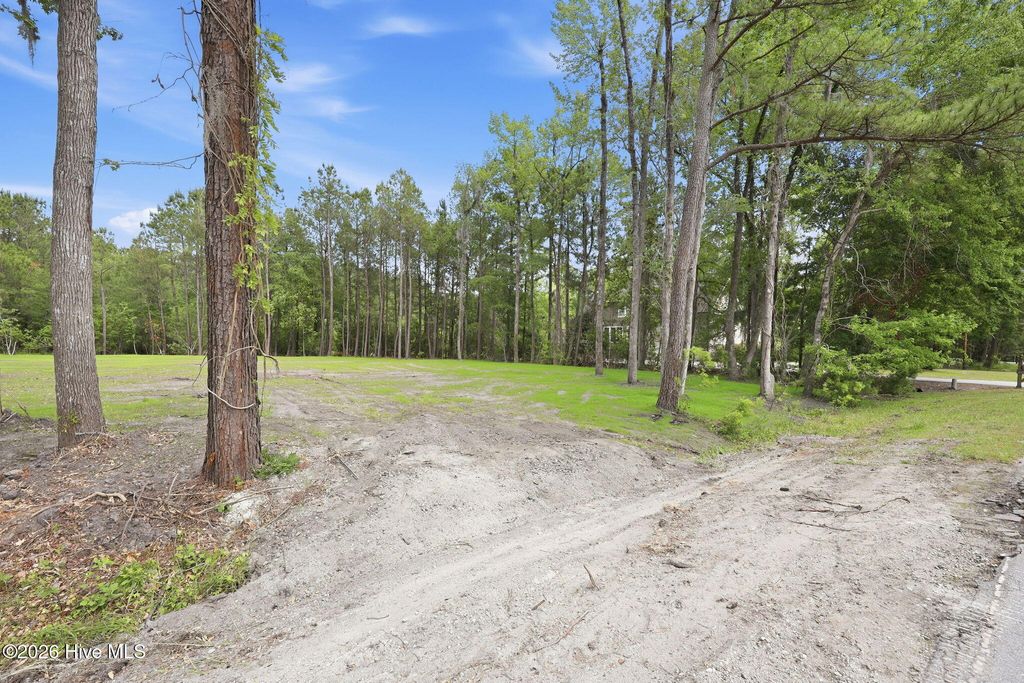 Photo of 161 Trent Shores Drive, New Bern, NC 28562 (MLS # 100575022)