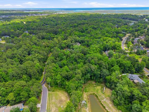 Tiny photo for 200202 Creekview Drive, Hampstead, NC 28443 (MLS # 100579847)