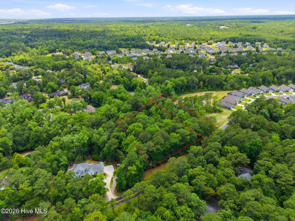 Photo of 200202 Creekview Drive, Hampstead, NC 28443 (MLS # 100579847)