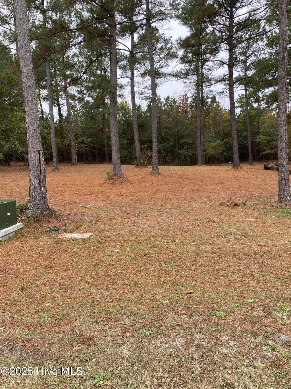 Photo of 7427 Branford Circle SW, Sunset Beach, NC 28468 (MLS # 100544539)