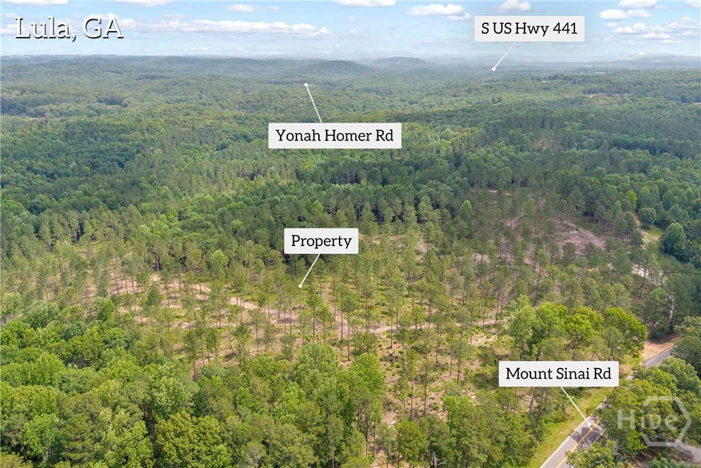 Photo of 0 Mt. Sinai Road #Lot 2, Lula, GA 30554 (MLS # CL359056)
