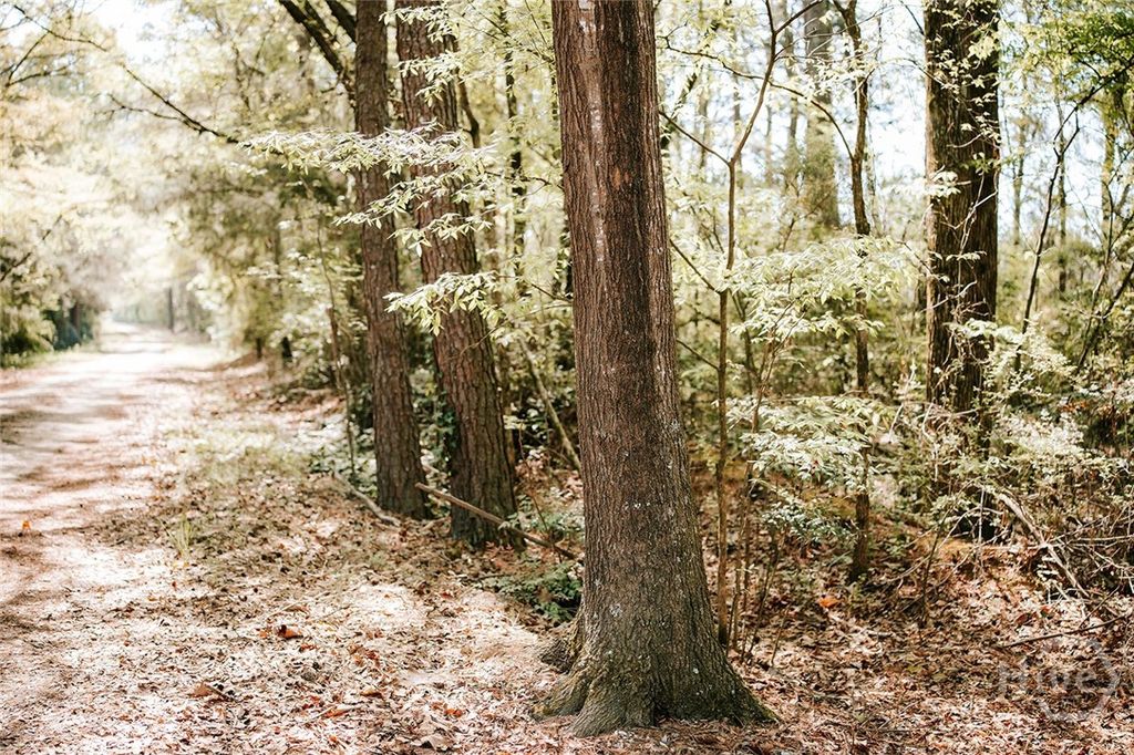 Photo of 000 Union Point Road, Stephens, GA 30667 (MLS # CL353851)