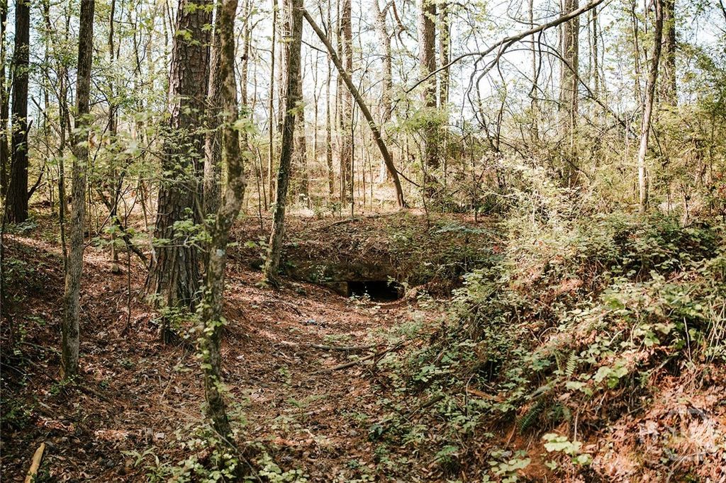 Photo of 000 Union Point Road, Stephens, GA 30667 (MLS # CL353851)