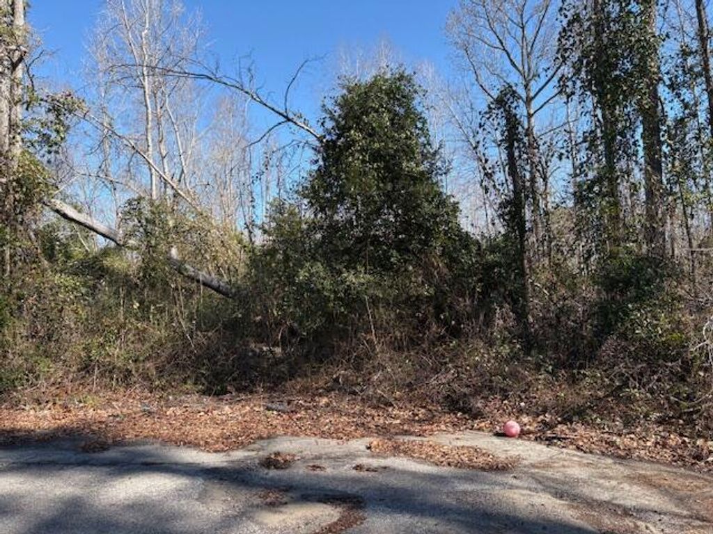 Photo of 4332 Parkwood Drive, Augusta, GA 30906 (MLS # 552242)