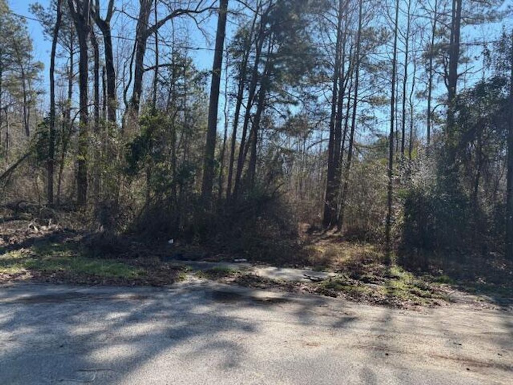 Photo of 4332 Parkwood Drive, Augusta, GA 30906 (MLS # 552242)