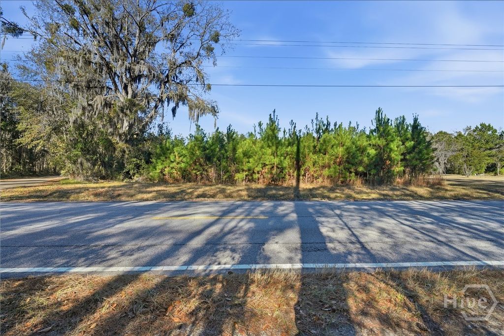 Photo of 0 Fort Morris Road, Midway, GA 31320 (MLS # SA346624)