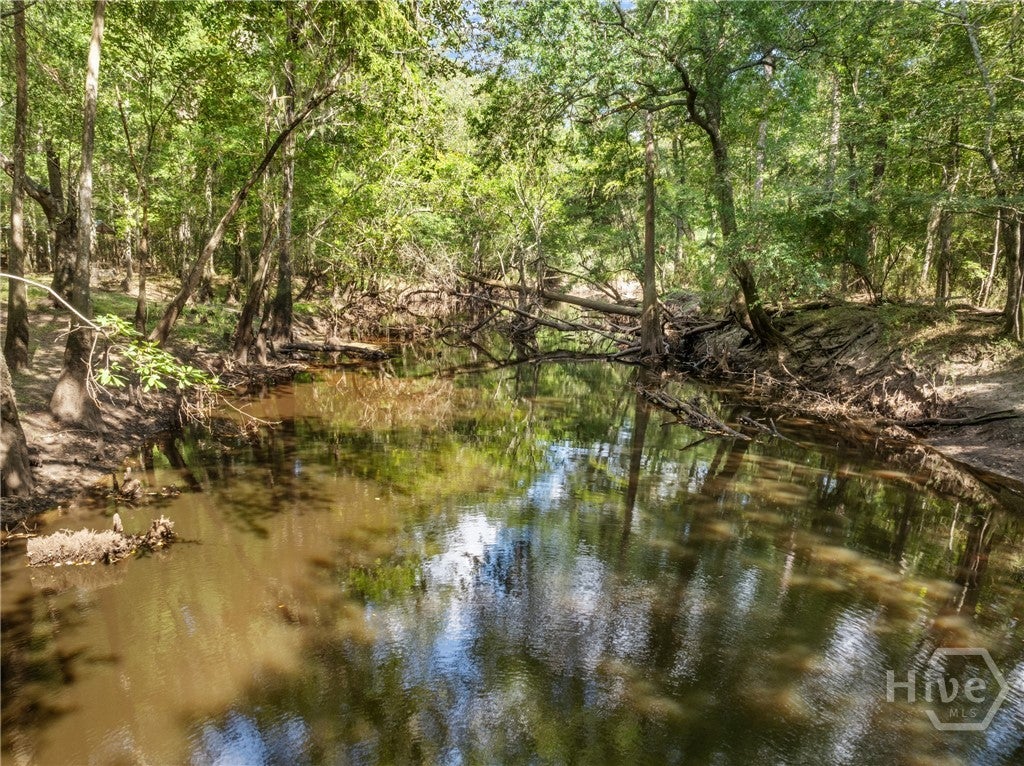 Photo of 628 Riverside Drive, Claxton, GA 30417 (MLS # SA365876)
