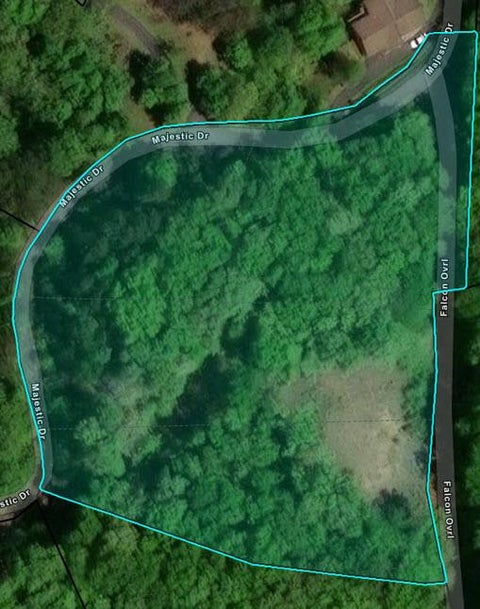 Vacant Land For Sale - TR 2 Flacon<br/> Hayesville, NC 28904