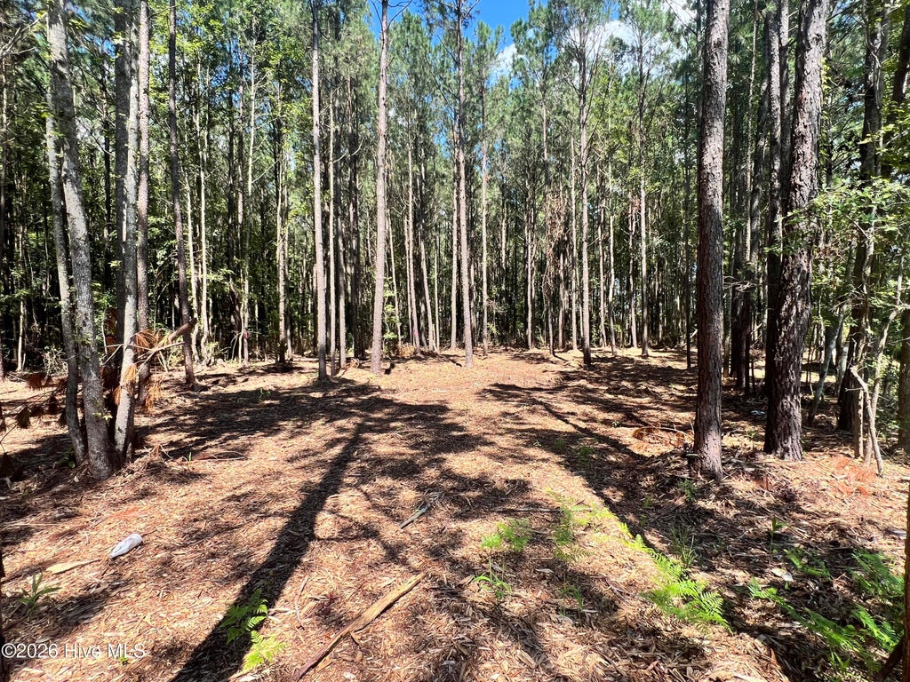 Photo of 1 Elm Street, Belhaven, NC 27810 (MLS # 100600155)