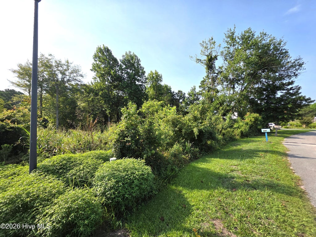 Photo of 633 Riva Ridge Road, Sneads Ferry, NC 28460 (MLS # 100596539)