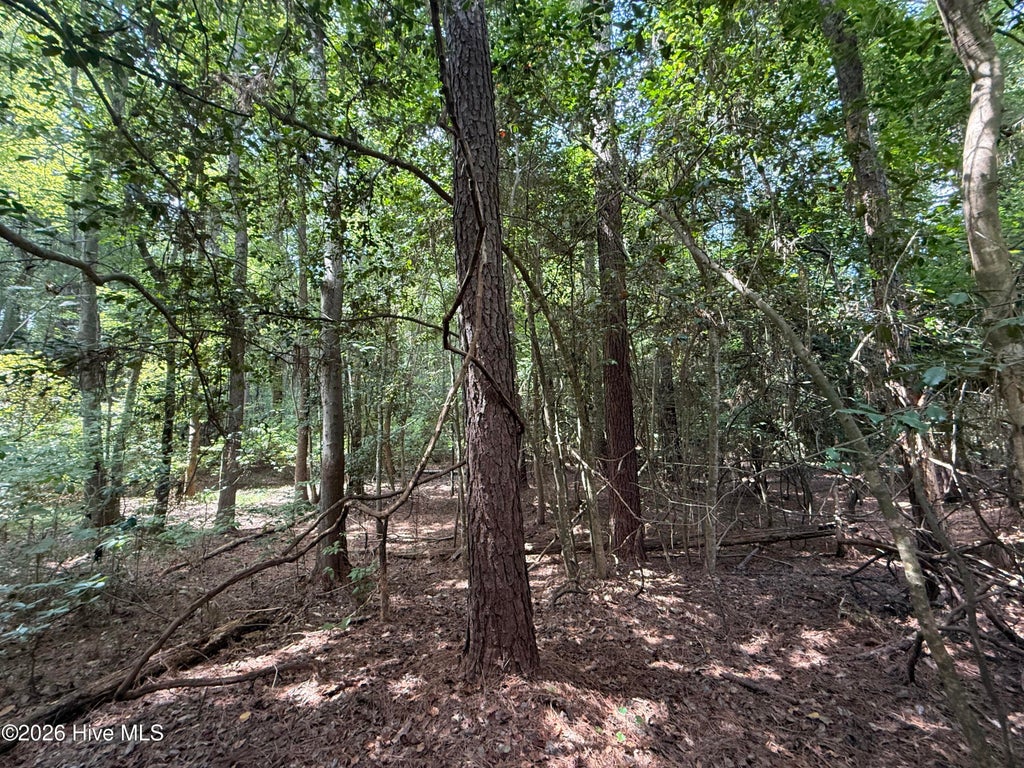 Photo of 1 Holland Road, Greenville, NC 27834 (MLS # 100599701)