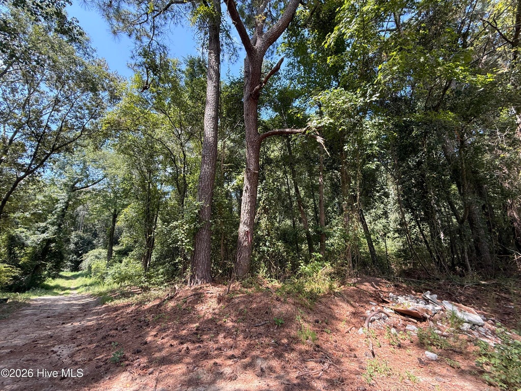 Photo of 1 Holland Road, Greenville, NC 27834 (MLS # 100599701)