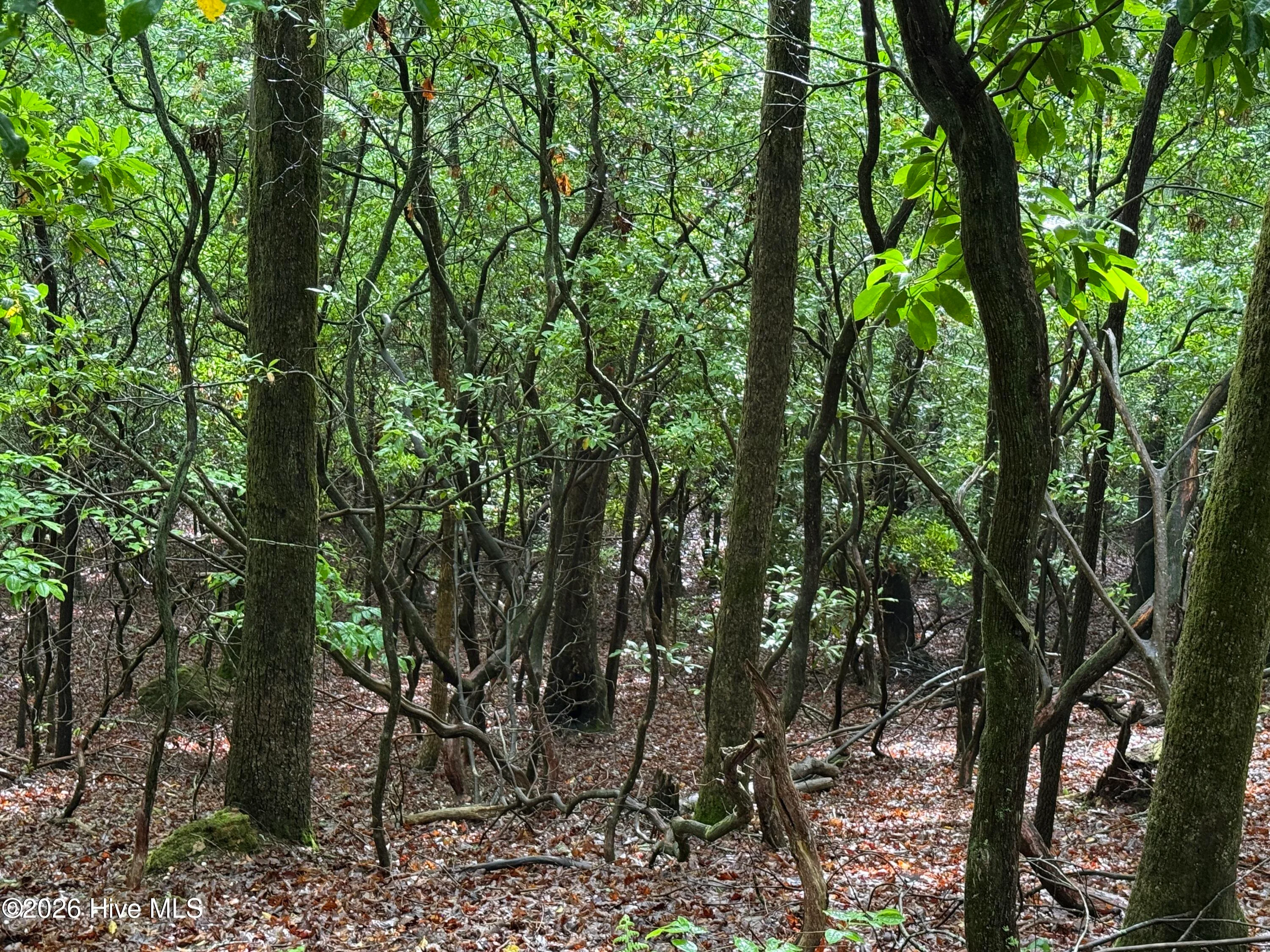 Lot 28 Atoah Loop