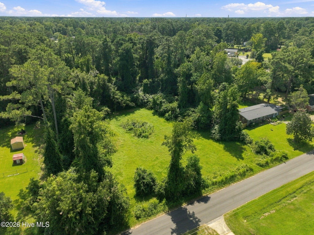 Photo of 119 Mike Loop Road, Jacksonville, NC 28546 (MLS # 100604719)