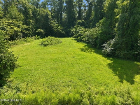 Tiny photo for 119 Mike Loop Road, Jacksonville, NC 28546 (MLS # 100604719)