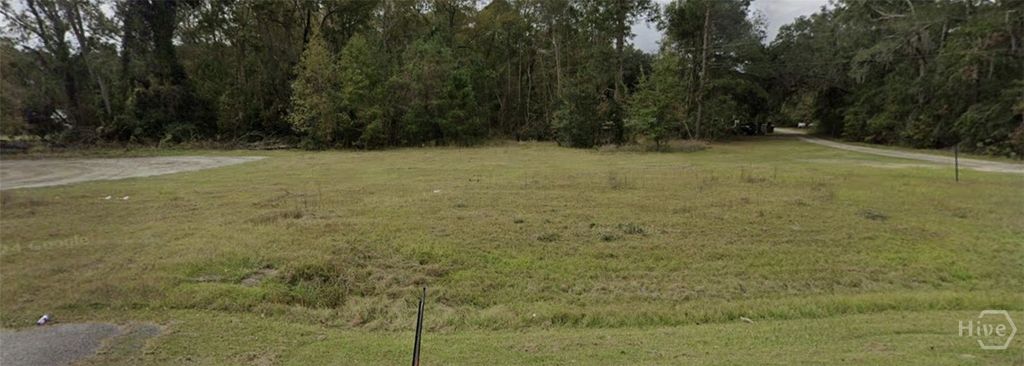 Photo of 1 S Coastal Highway, Midway, GA 31320 (MLS # SA353184)