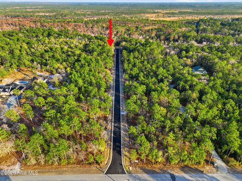 Tiny photo for 1041 Brooke Ridge Lane, Southport, NC 28461 (MLS # 100556106)
