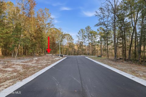 Photo of 1041 Brooke Ridge Lane, Southport, NC 28461 (MLS # 100556106)